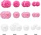 Tissue Paper Pompoms Paper Flower 22 Pcs Pink,Rose Red,White Paper Flower Ball for Birthday Bachelorette Wedding Baby Shower Bridal Shower Party Decoration
